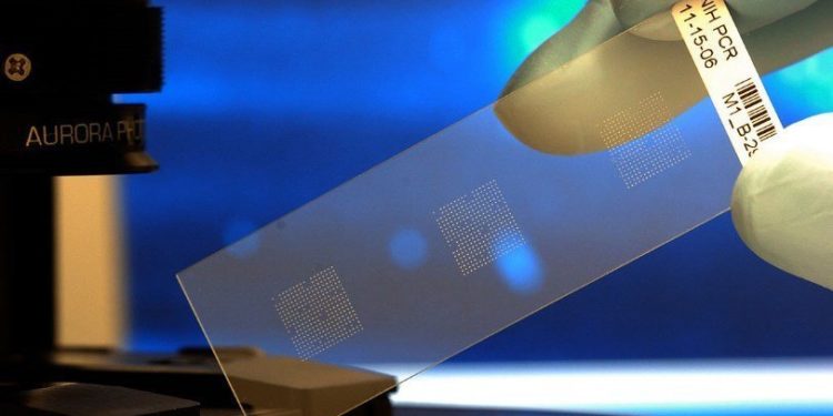 Орусияда коронавирус инфекциясын тестирлөө үчүн биочип жасалууда