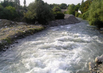 Бири экинчисин куткарам деп… Ак-Буура — Араван дарыясына түшүп кеткен эки өспүрүмдүн жансыз денеси табылды