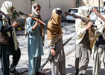 Талиптер дүйнө өлкөлөрү менен болгон мамилелер боюнча билдирүү жасады