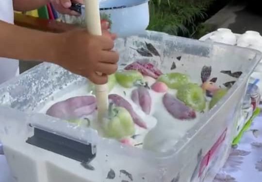 «Болгар калемпири, алма, райхан…» Оштон өзгөчө чалап