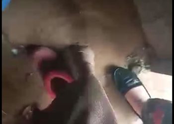 «Элдик кабарчы»: «Папан айылында жүргөн сел үйдүн короолоруна чейин кирген» (видео)