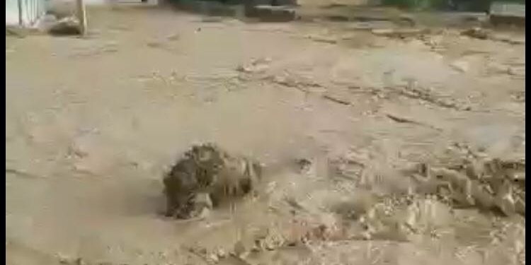 «Элдик кабарчы»: «Жалал-Абадда жүргөн селдин видеосу»