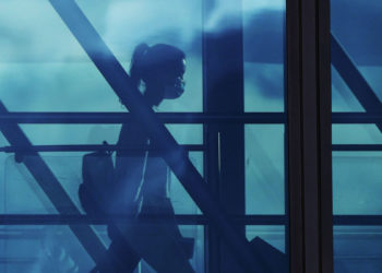 Бирөөнүн паспорту менен Түркияга учуп кетүүгө аракет кылган аял кармалды