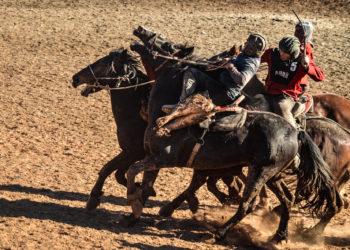 Көк бөрү: Президенттин кубогу үчүн ат салышкан финалисттер аныкталды