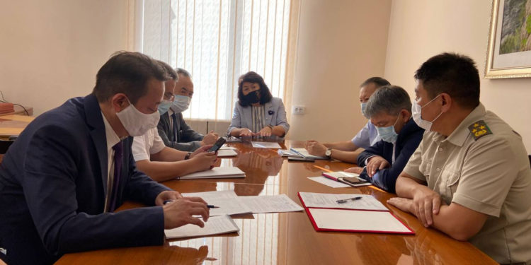 ПЦР-тесттин жасалма жыйынтыктары боюнча иликтөө. Министрлер кабинети териштирүүнү баштоону тапшырды