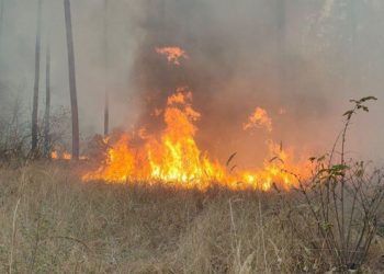 Ошто 1,5 гектар аянттагы куураган чөп күйдү (видео)