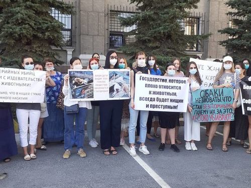 Бишкекте жаныбарларды коргоочулар үйсүз жаныбарларды атууга каршы митингге чыгышты