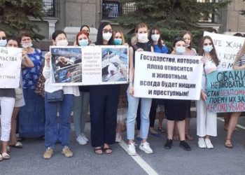 Бишкекте жаныбарларды коргоочулар үйсүз жаныбарларды атууга каршы митингге чыгышты