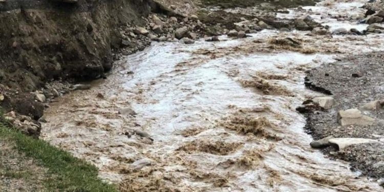 5-8-август күндөрү тоолуу аймактарда сел жүрүшү мүмкүн