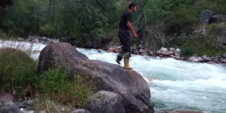 Колун жууп жатып тайып жыгылып, Чычкан суусуна агып кеткен аялдын жансыз денеси бүгүн да изделип жатат