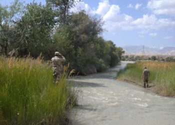 Нарында 39 жаштагы киши дээрлик 2 жумадан бери дайынсыз болууда. Жансыз денеси дарыядан изделип жатат