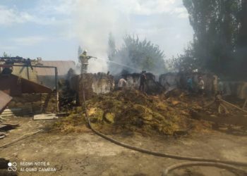 Жалал-Абадда миңден ашык түк чөп өрттөнүп кетти