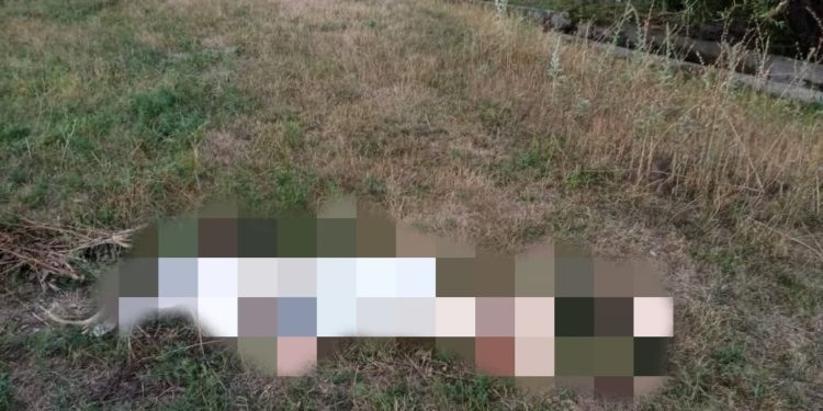 Арашан суусунан 17 жаштагы өспүрүмдүн жансыз денеси табылды