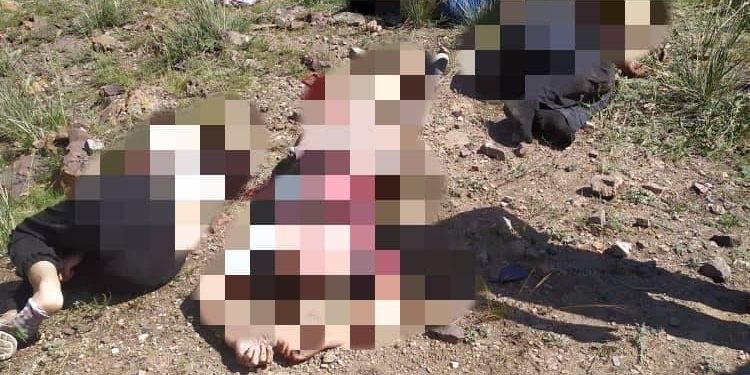 Ысык-Көлдө жүргүнчү ташыган унаа менен оор жүк ташуучу унаа сүзүшүп, 5 адам көз жумду (сүрөт)