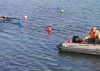 «181 чакырым». Владислав Шулико Ысык-Көлдү сүзүп өтүүгө белсенди