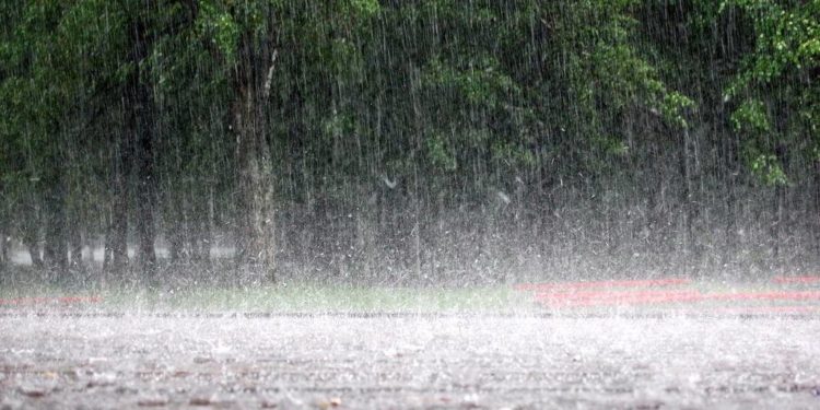 ❗Шашылыш билдирүү: Бишкекте жана Чүйдө күн күркүрөп, катуу шамал болот