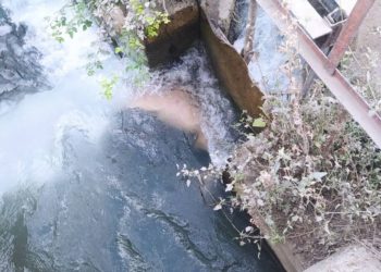 Өзгөн каналынын жээгинен эркек кишинин жансыз денеси табылды