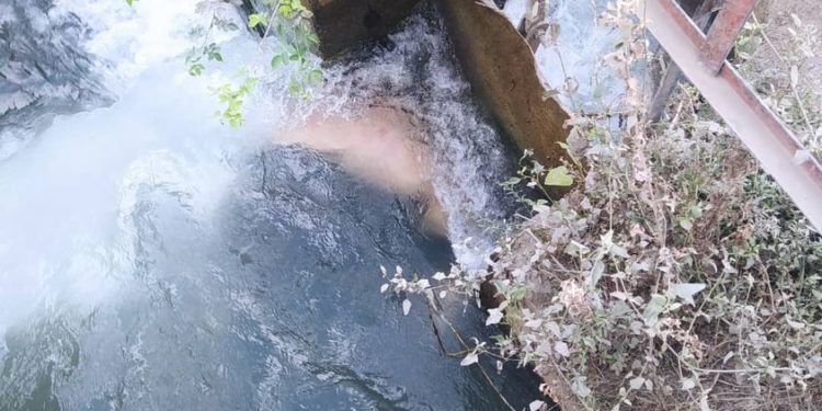 Өзгөн каналынын жээгинен эркек кишинин жансыз денеси табылды