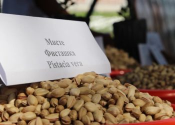 Ноокенде мисте фестивалы өттү