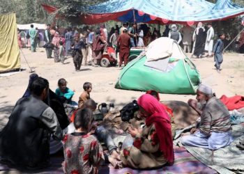 Чек ара кызматы Кыргызстанга Ооганстандан качкындар келгени тууралуу маалыматты четке какты