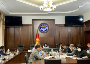 COVID-19 пандемиясына каршы күрөшүдө каза болгон медицина кызматкерлерине коюла турган эстеликтин орду аныкталды