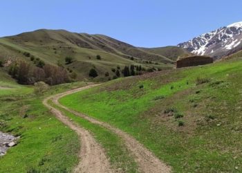 Баткенде эки жигит жайлоого кеткен боюнча дайынсыз болуп жатышкан. Таң эрте туугандары табышкан