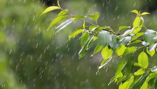 25-августка карата өлкөдөгү аба ырайы