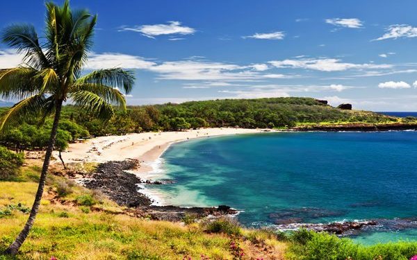 Илимпоздор жакынкы жылдары жок болуп кетиши мүмкүн болгон өлкөлөрдү аташты