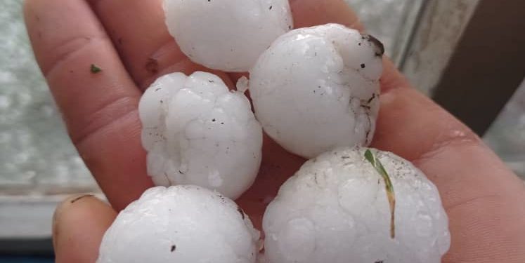 «Элдик кабарчы»: «Ысык-Көл облусунун Кең-Суу айылында мөндүр жаады» (видео)