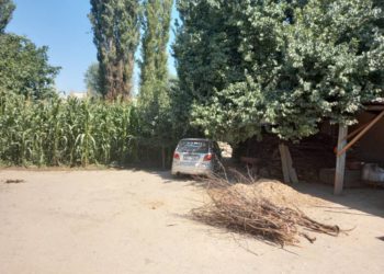 Ошто айдоочу жолдун четинде коляскада бара жаткан мүмкүнчүлүгү чектелген жаранды сүзүп, из жашырып кеткен (сүрөт)