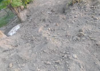 «Казылган аң толтурулду». Баткен облусунун башчысы Тажикстандын Согди облусунун төрагасы менен байланышты (сүрөт)