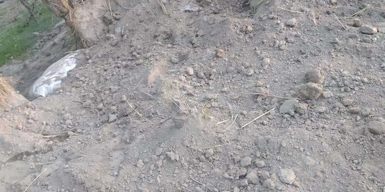 «Казылган аң толтурулду». Баткен облусунун башчысы Тажикстандын Согди облусунун төрагасы менен байланышты (сүрөт)