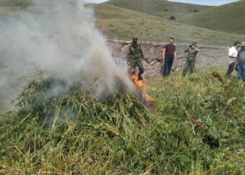 Түптө 5 тонна кара куурай өрттөлдү