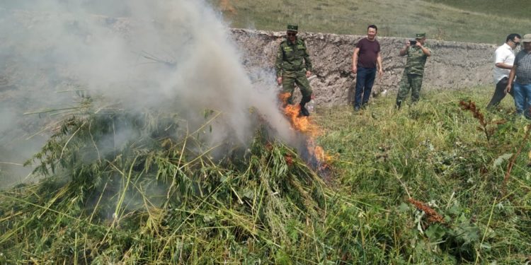 Түптө 5 тонна кара куурай өрттөлдү