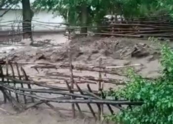 Ысык-Көлдө жамгырдан улам арыкка суу батпай мүрзө, үйлөрдү каптады (видео)