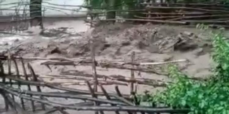 Ысык-Көлдө жамгырдан улам арыкка суу батпай мүрзө, үйлөрдү каптады (видео)