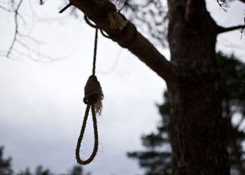 Чүйдө мүрзөгө жакын жерден бакка асылган 34 жаштагы аялдын жансыз денеси табылды