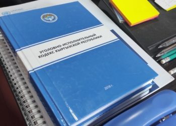 Парламент президенттин Кылмыш кодексине каршы пикирин кабыл алды