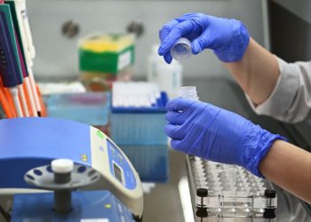 Казакстанда коронавирустун Eta штаммы аныкталды