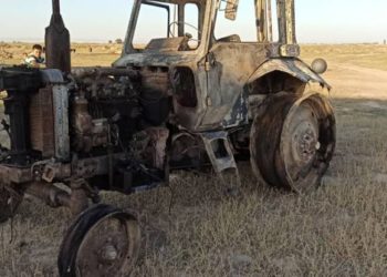 Чүйдө өрт өчүрүүчүлөр 5 миң түк чөптү сактап калышты