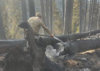 Чоң-Кемин өрөөнүндөгү ири өрт 5 күндөн кийин толугу менен өчүрүлдү