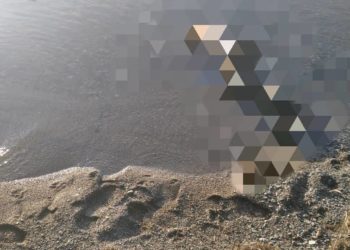 Балыкчыда эркек киши көлгө чөгүп кетти