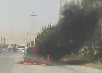 Сузакта жолдун боюнда жеңил унаа толугу менен өрттөнүп кетти (видео)