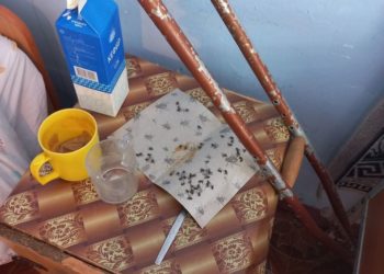 «Жагымсыз жыт, жараксыз даараткана…» Сузактагы карылар үйүндө адамгерчиликсиз жана басынтуучу иш-аракеттер аныкталды