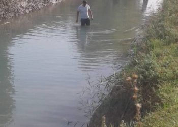 Оштогу каналга түшүп кеткен 1,5 жашар кыздын жансыз денесин издөө иштери уланууда