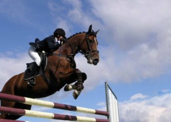 Бишкекте ат спорту боюнча ачык чемпионат өтөт