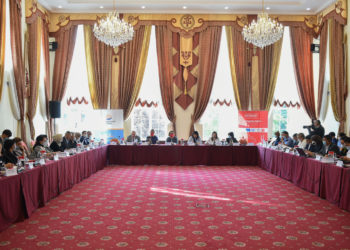 «9 айда 7665 факт». Бишкекте үй-бүлөлүк зомбулукка каршы мыйзамды өркүндөтүү маселеси талкууланды