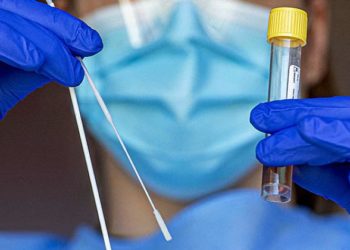 ИИМ: «Таласта ПЦР-тесттин жасалма жыйынтыгын 2 миң сомго саткандар аныкталды»