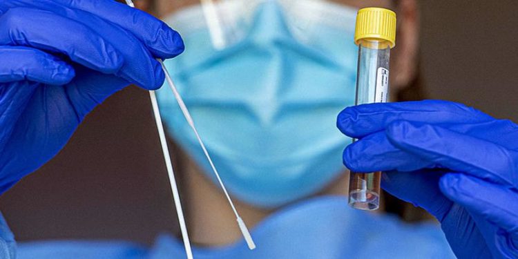 ИИМ: «Таласта ПЦР-тесттин жасалма жыйынтыгын 2 миң сомго саткандар аныкталды»