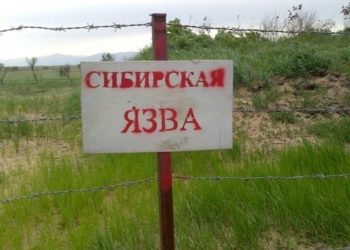 Аксыда күйдүргүгө шектелип ооруканага жаткандар менен байланышта болгондордун саны 41 адамга жетти